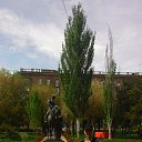 Alex, , 76  -  16  2021    