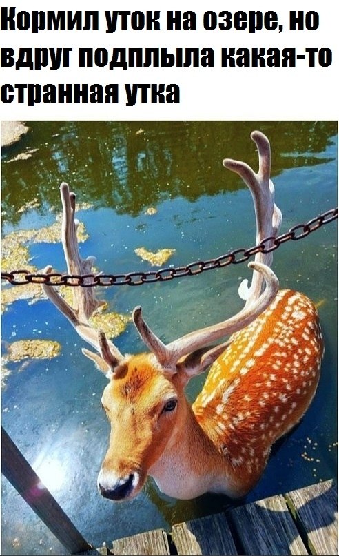 ,  ,   