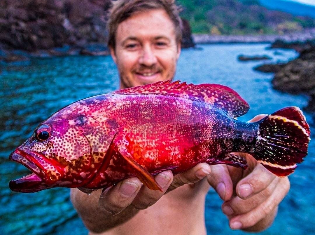 Фантастические рыбы Японии. Теперь понятно, откуда они ... | LIFE - новости  | Фотострана | Пост №2235891939