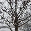  Piratka,  -  6  2021    