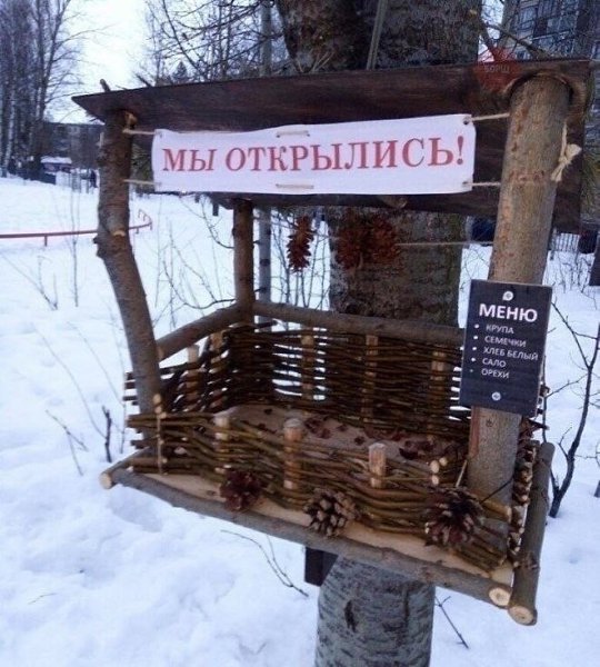 И давно уже открылись и есть филиалы! .Люди, приходите, приносите меню и кормите пташек. А Вам всем ...