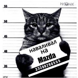 �����, ������-���, 41 ���