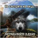 ���� �������, ���������, 46 ��� - ��������� 24 ������ 2020