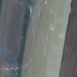 Aleksey, ������