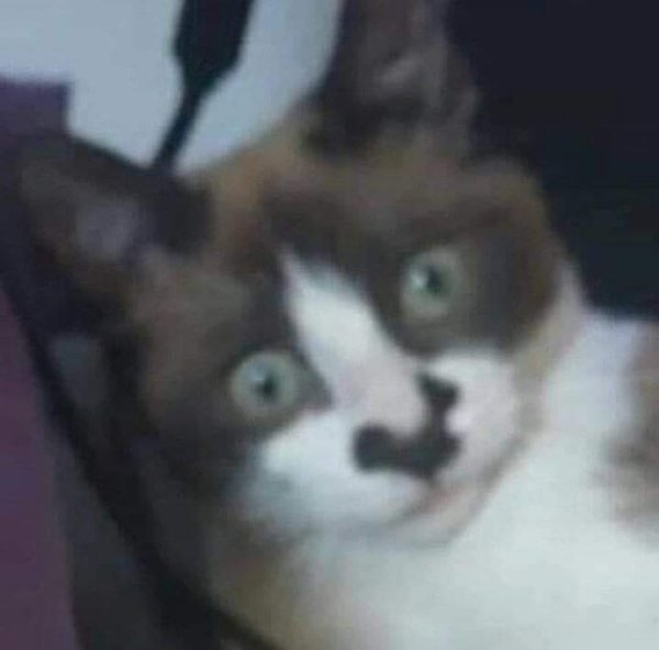      : - 3