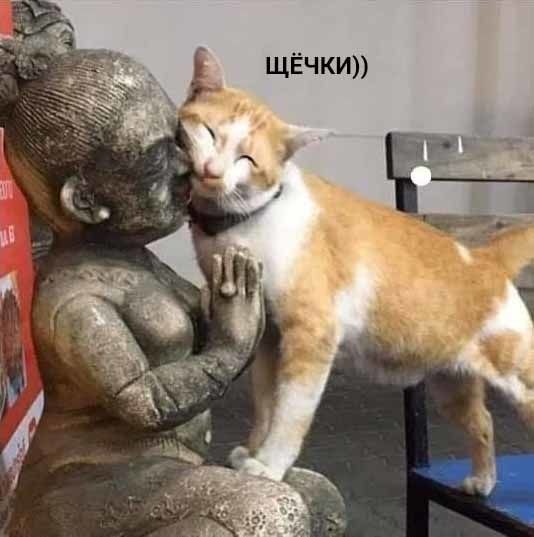   ,       - 5