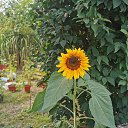 ���� Carsten, �������, 48 ��� - ��������� 14 ������� 2020 � ������ ����