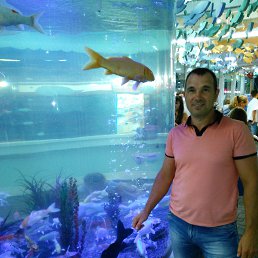 ��������, ����-����, 48 ���