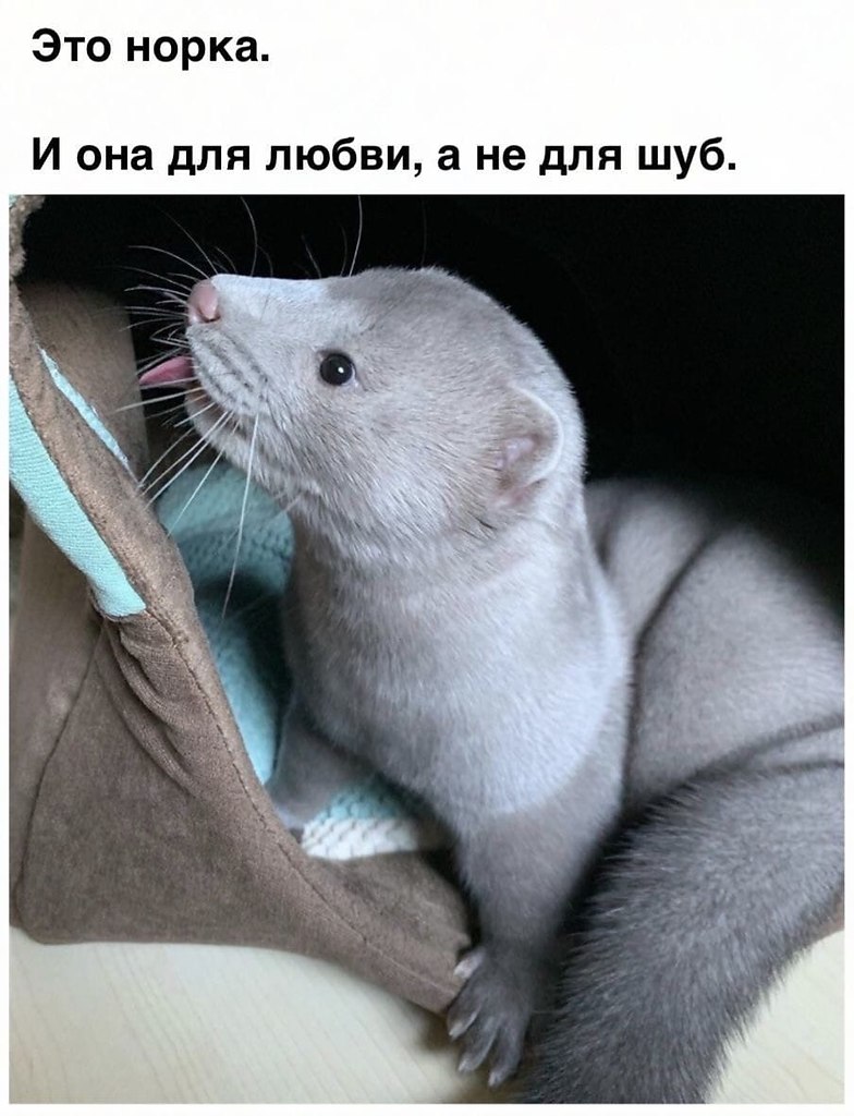  o.   a o  .