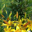  ,  -  23  2020    