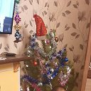 ���� ����, ������������, 44 ���� - ��������� 23 ����� 2021 � ������ ���� ����������
