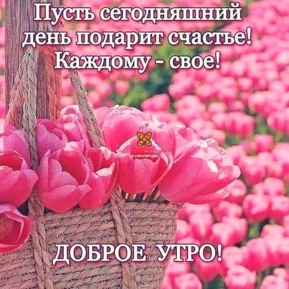   ,    . - 27  2020  00:30 - 2