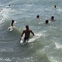 ���� ����, ������, 43 ���� - ��������� 1 ������ 2020 � ������ ���� ����������