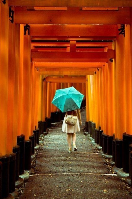 странный какой ноябрь... теплый, бесснежный, вкусный... с трепетом дышит время... ввысь прорастают ...