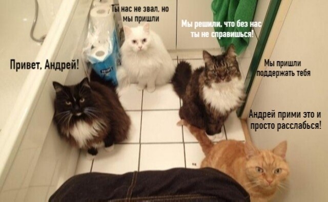 , !!!