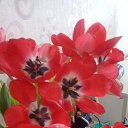 ���� ��������, �����������, 47 ��� - ��������� 30 ������ 2020 � ������ ���� ����������