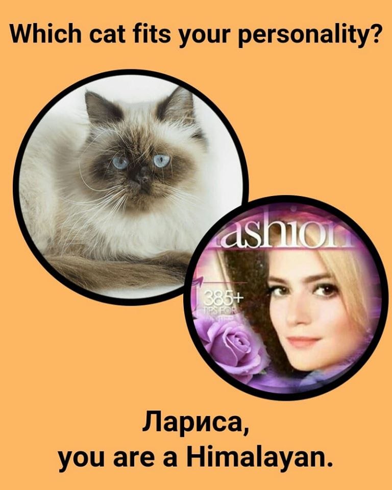   - 2  2020  19:50