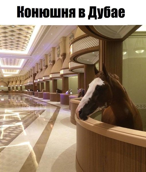К сожалению, даже некоторые люди могут позавидовать