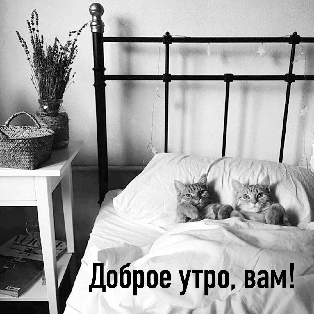 ***Victoria Viktorovna*** - 6  2020  05:23