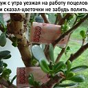  ,  -  25  2020    