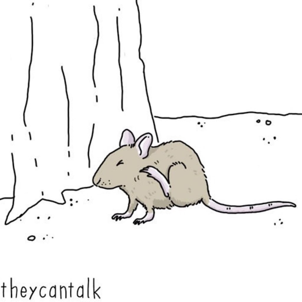 Когда у твоей девушки месячные | THE DUMP | Фотострана | Пост №2303633779