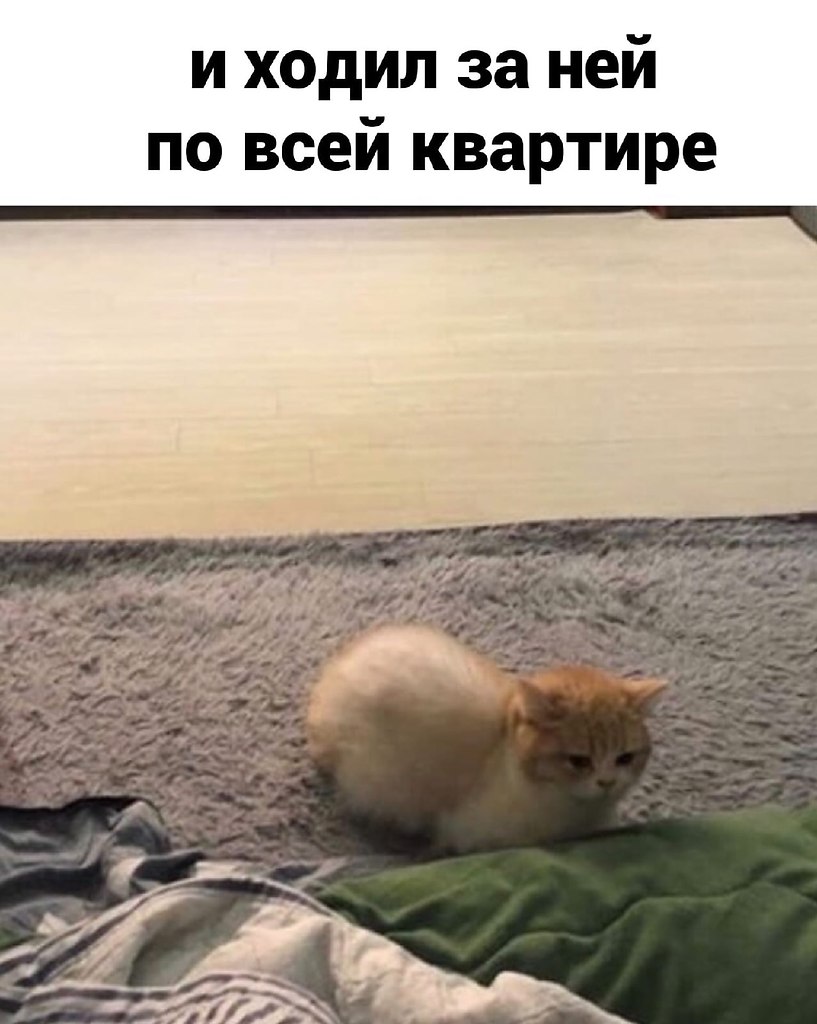 ,  .. - 2