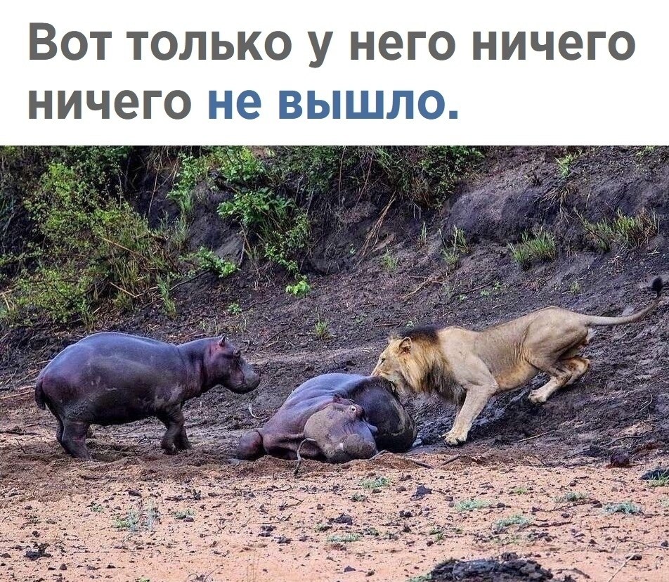 o o o o? - 2