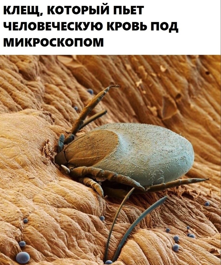 BEST | , ,  - 1  2020  19:07