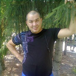 ������, �����������, 54 ����