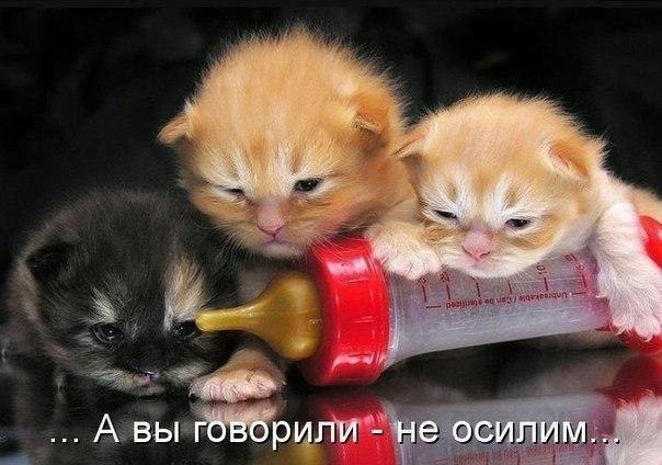    - 8  2021  03:45