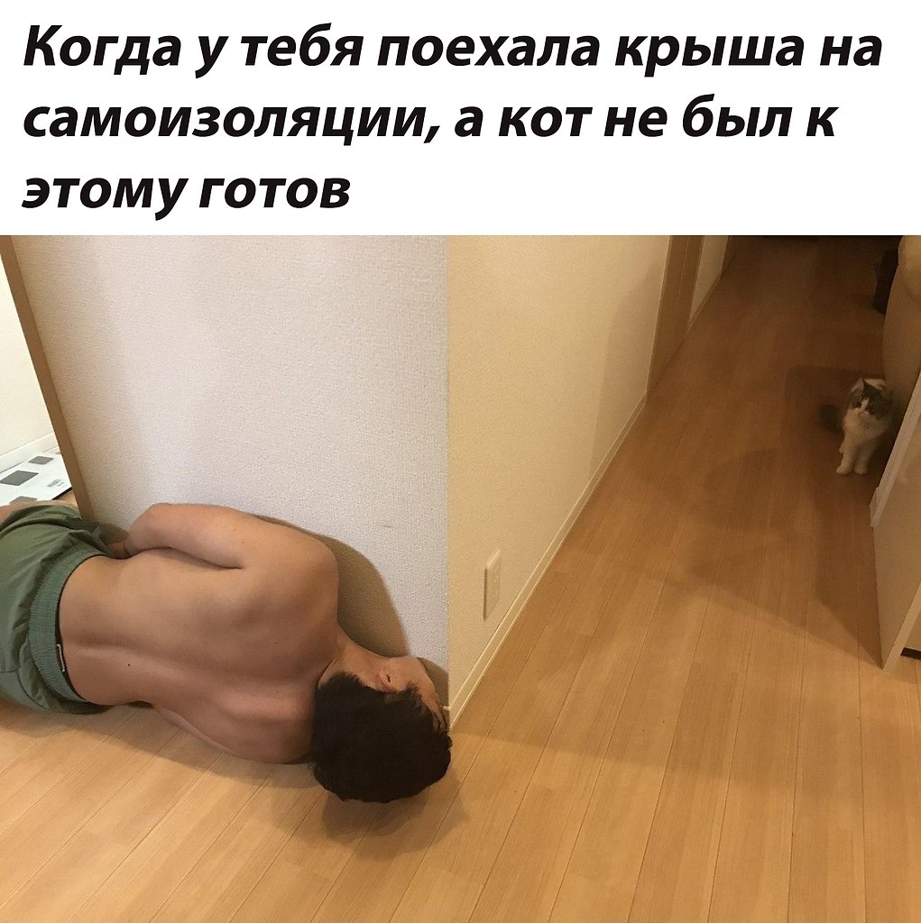    !)