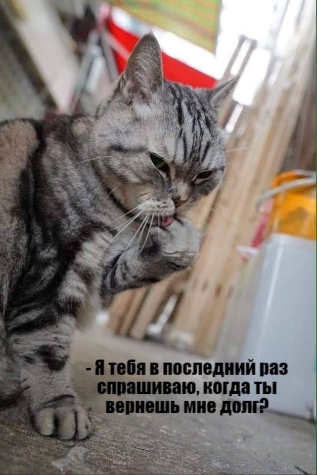       - 27  2020  18:53