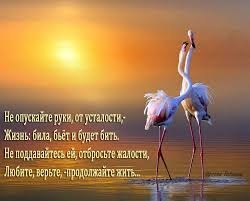 Говорю себе — это жизнь. Принимай её, как подарок. Если трудно тебе — держись! Мир не может быть ...