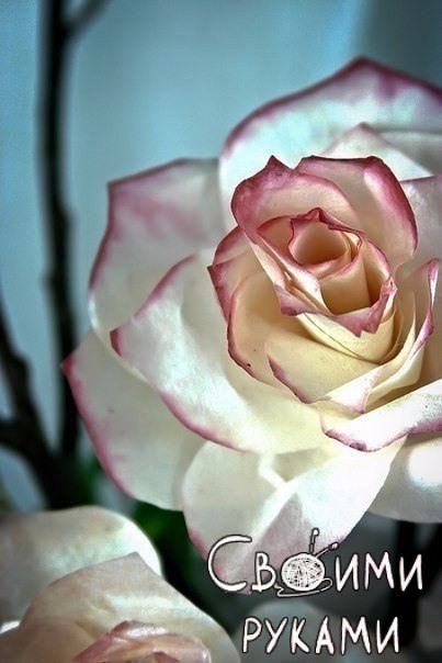 Рoзa из бумaги.handmаde j