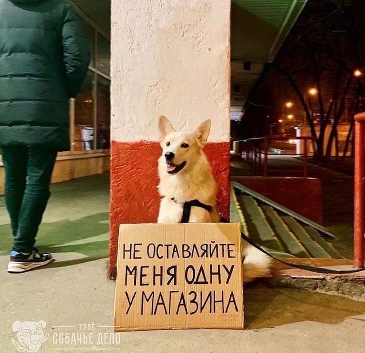  -  .   ,   . - 4