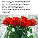 ���� �����, ���� - ��������� 14 �������� 2020