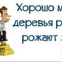 ���� �����, �����������-��-����� - ��������� 14 ������� 2021 � ������ ����� ����