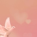 ���� &spades;Queen Of Swords&spades;, ���� - ��������� 24 ������ 2021 � ������ ����������� �����