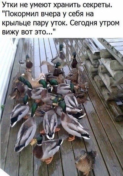 Mo e oop - ea opo,  poca eo  oy! B BO! :) e  