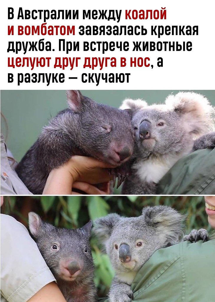 oo  oo oo