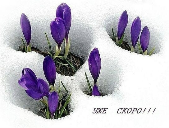   ,    . - 11  2021  23:43 - 7