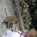 ���� �����������������, ������������ - ��������� 28 ������� 2020 � ������ ���� ����������