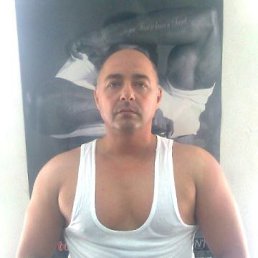,  , 55 