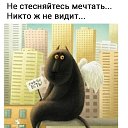 ���� ��������, ����� - ��������� 9 ������ 2020 � ������ ������ ��������
