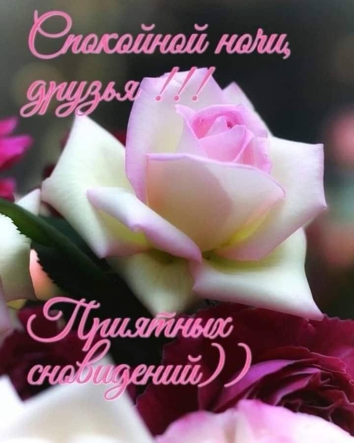   ,    . - 22  2020  23:03 - 6