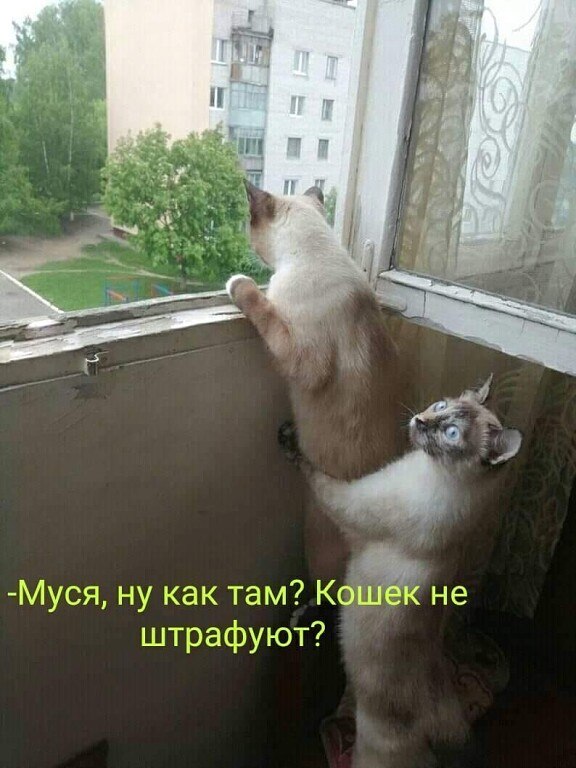  - 1  2020  11:07