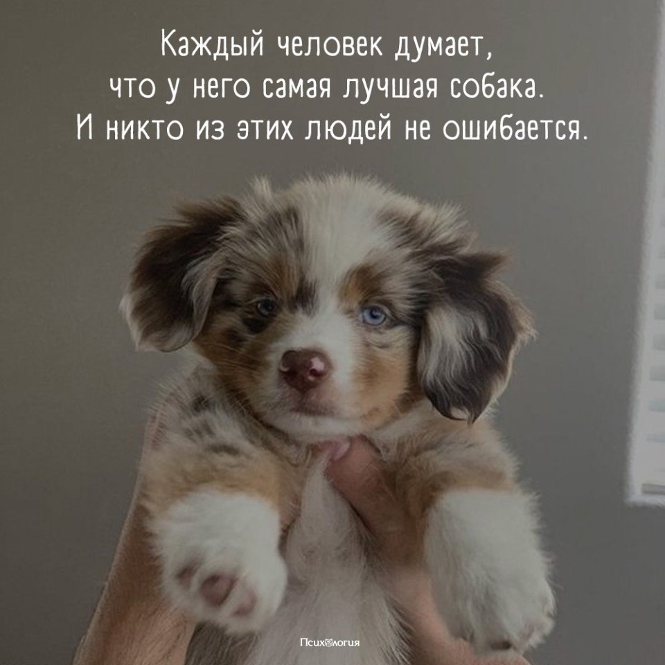  - 22  2020  19:09