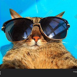 �����, ������, 56 ���