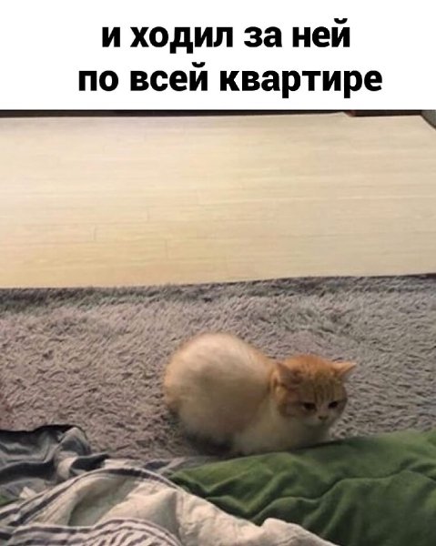 ,  .. - 2