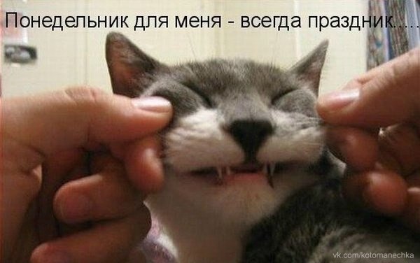    - 12  2021  07:11
